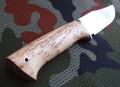 barsuK340_6.jpg