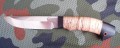 jastriebH12MFberesta2.jpg