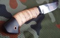 jastriebH12MFberesta4.jpg