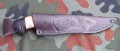 jastriebH12MFberesta5.jpg