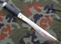 bojarin8.jpg