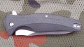 raptor5.jpg