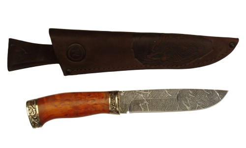 putnik_dmst_stab1.jpg