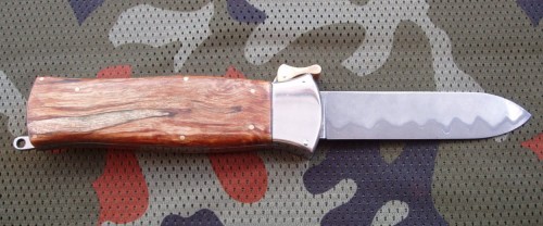 para1.JPG