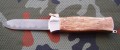 para2.JPG