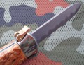 para5.JPG