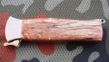 para8.JPG