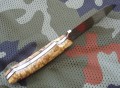 kostroma2_5.JPG