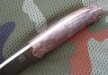 kostroma3_4.JPG