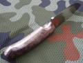 kostroma3_6.JPG