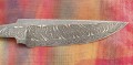 zalo_mosaic4.JPG