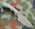 zubr6.JPG