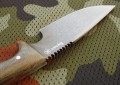 zubr7.JPG