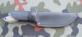 zubr10.JPG