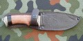 jegierN690_8.JPG