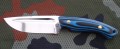 rayback2.JPG