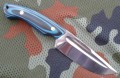rayback7.JPG