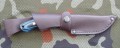 rayback8.JPG