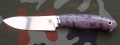 lesnyK110_2.JPG