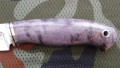 lesnyK110_4.JPG