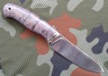 lesnyK110_8.JPG