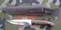 jaguarH12MF2.JPG