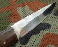 jaguarH12MF4.JPG