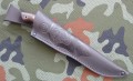 jaguarH12MF8.JPG