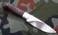 murena6.JPG