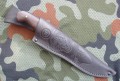 murena7.JPG