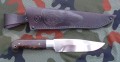 bizon1.JPG
