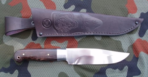 bizon1.JPG