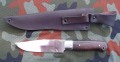 bizon2.JPG