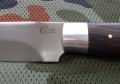 bizon3.JPG