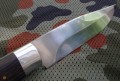 bizon4.JPG