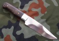 bizon6.JPG