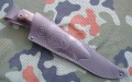 bizon7.JPG