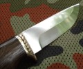 jegierH12MF5.JPG