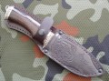 jegierH12MF8.JPG