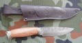 sokol9XC_1.JPG