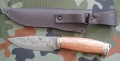 sokol9XC_2.JPG