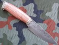 sokol9XC_6.JPG
