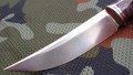 pirat8.JPG
