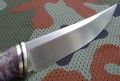 pirat6.JPG