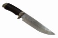 kadet_nd4.jpg