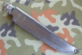 jegierski7.JPG