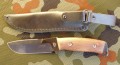 grizzlyU2.JPG