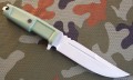 VN8.JPG