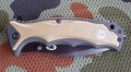 WAtigershark10.JPG
