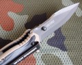 TigerSharkTN4.JPG